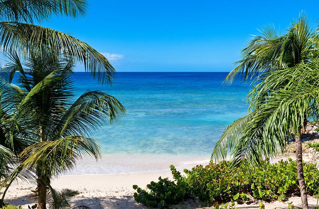 Schooner Bay 201- Flamboyant