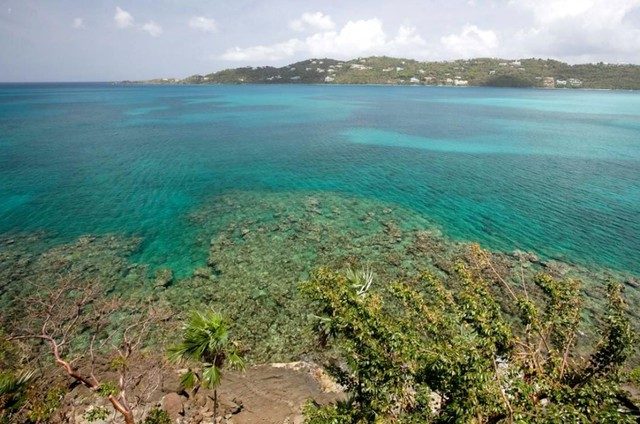 Edge of Paradise photo 9