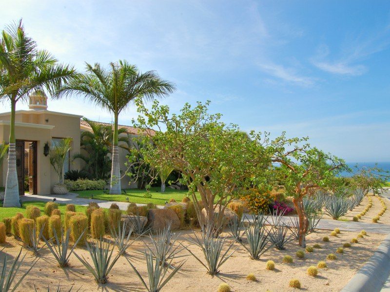 Casa Lieberman photo 4