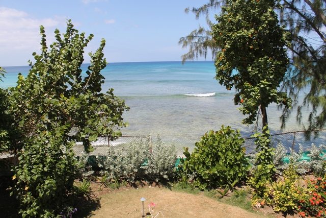 Secret Cove 1 photo 2