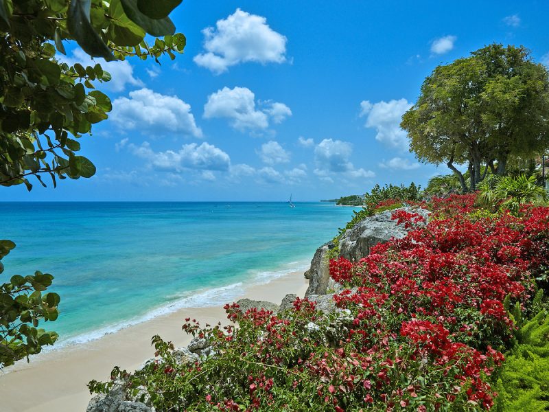 Seaclusion photo 33