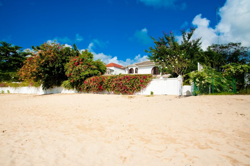 Oyster Bay photo 6