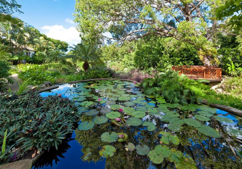 Villa Gardenia photo 6
