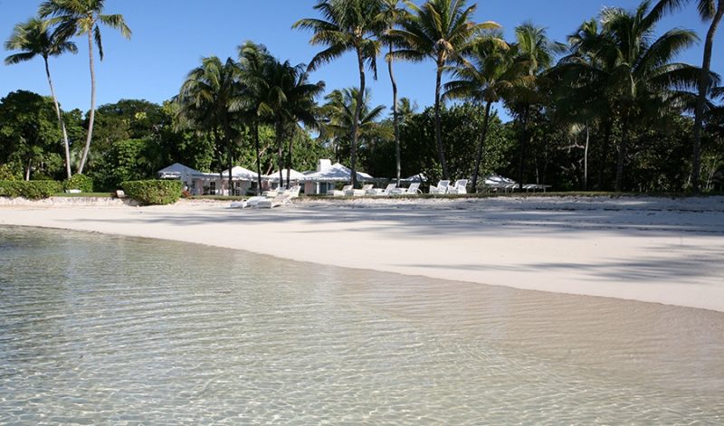 Serendip Cove photo 12