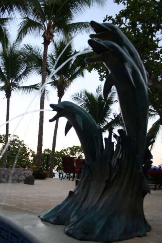 Palacio Tropical photo 9