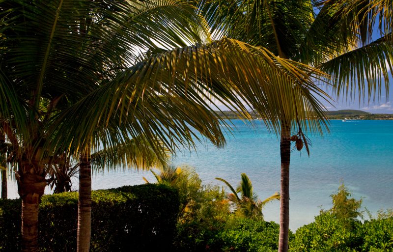 Les Palmier at Jumby Bay photo 3