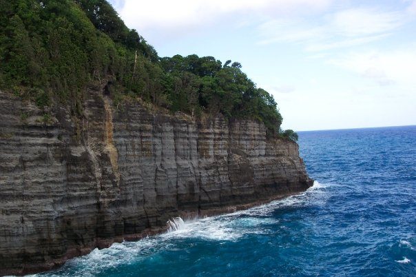 Jungle Bay photo 12