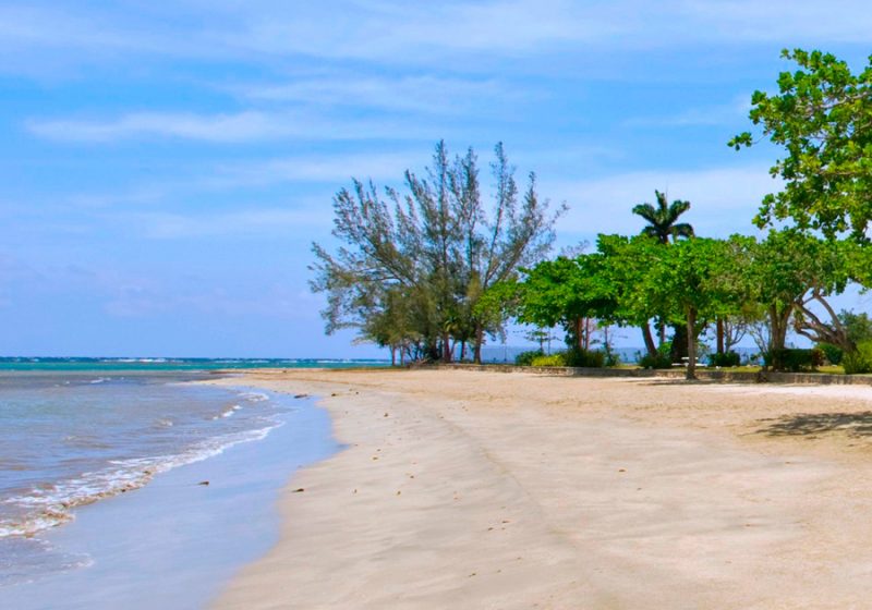 Tranquillity on the Beach photo 6