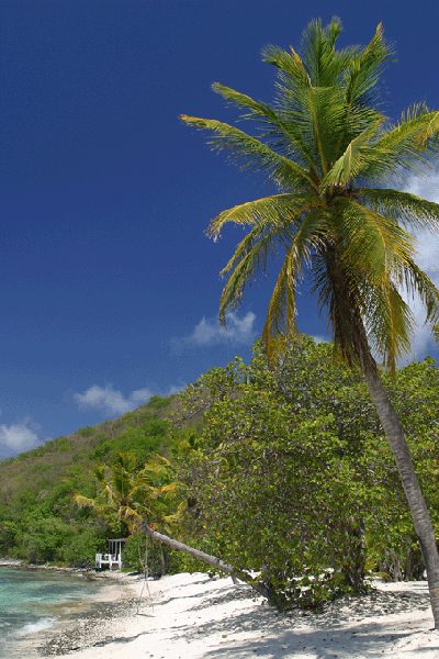 Sea Grape Cottage in Little Thatch Island, Tortola
