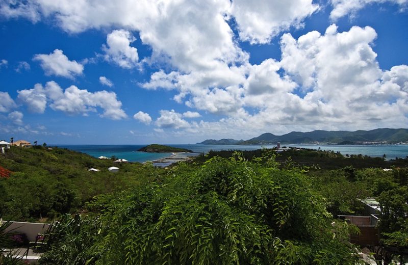 Modani photo 11