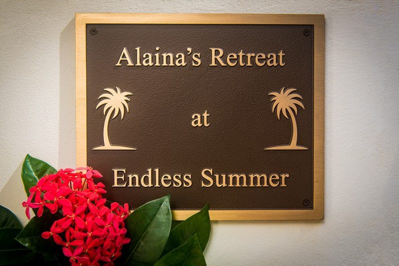 Endless Summer photo 30
