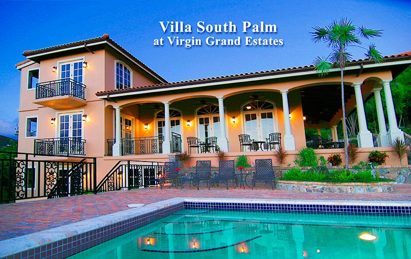 Villa South Palm photo 6