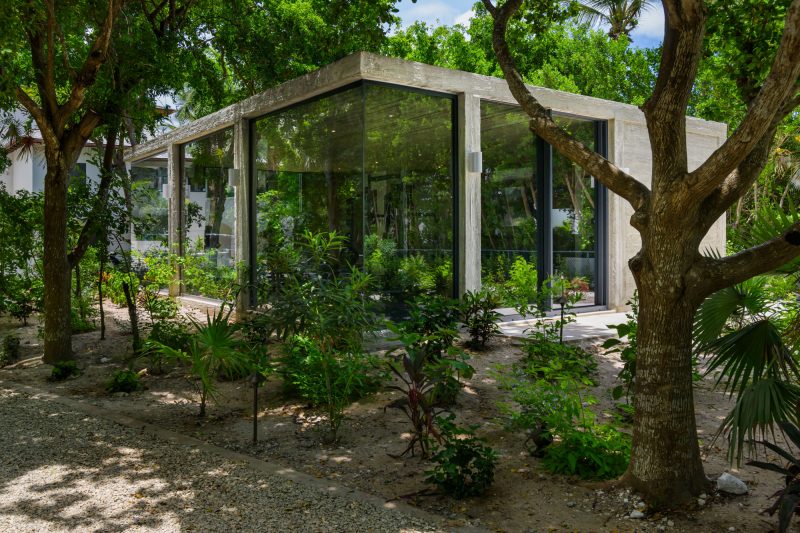 Seafire photo 43