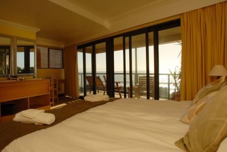 Dolphin House photo 17